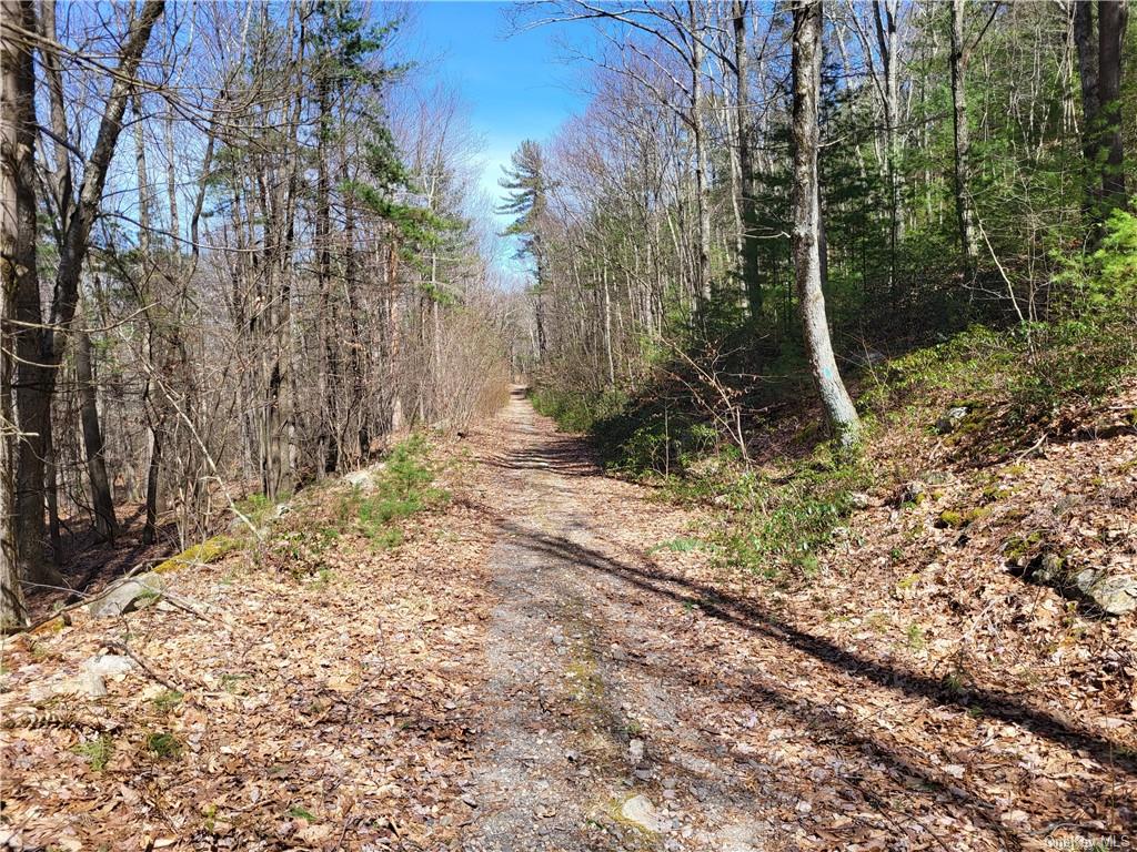 Land Old Plank  Ulster, NY 12420, MLS-H6180707-31
