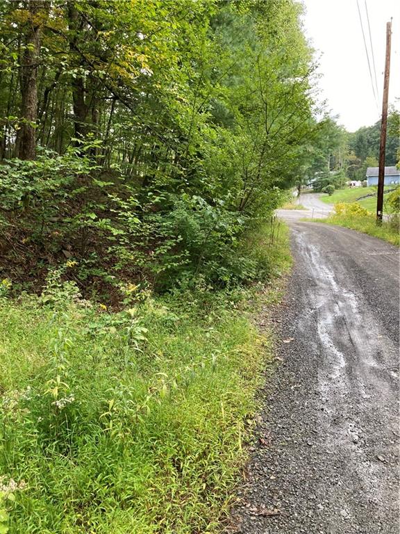 Land Route 52  Ulster, NY 12489, MLS-H6271730-31