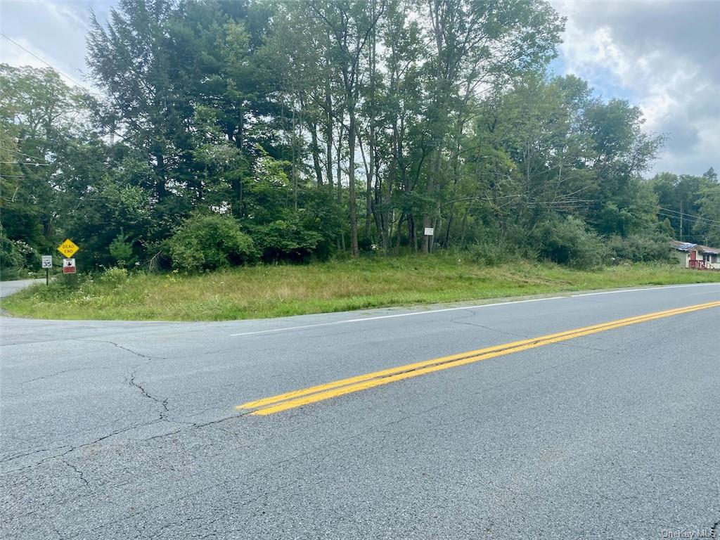 Land Moscoe  Sullivan, NY 12720, MLS-H6241893-31