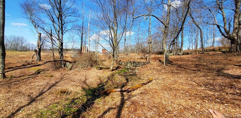 Land Mt Hope  Sullivan, NY 12720, MLS-H6232926-31