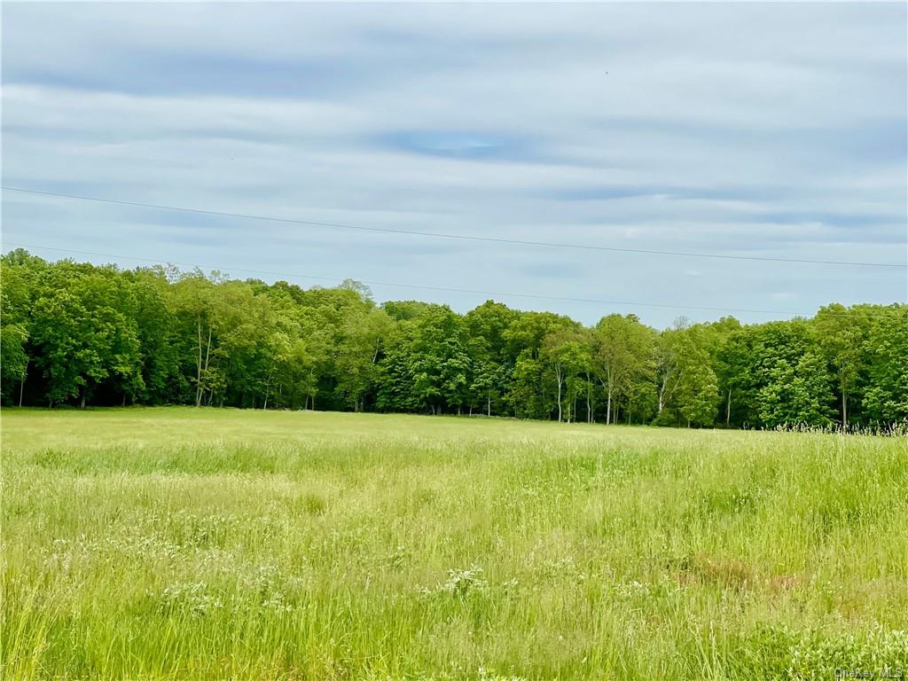 Land Sand Hill  Ulster, NY 12525, MLS-H6186109-32