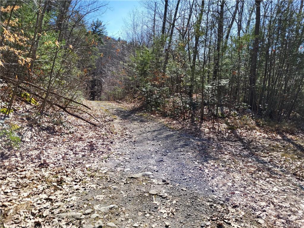 Land Old Plank  Ulster, NY 12420, MLS-H6180707-32