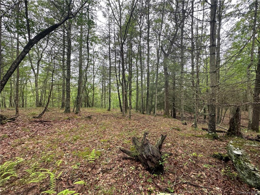 Land State Route 55  Sullivan, NY 12719, MLS-H6256862-32