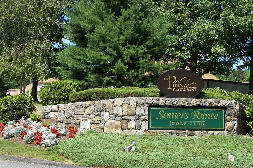 Condo Heritage  Westchester, NY 10589, MLS-H6278109-33