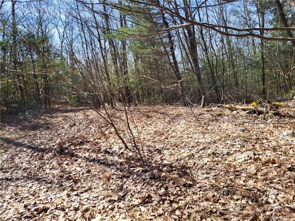 Land Old Plank  Ulster, NY 12420, MLS-H6180707-33