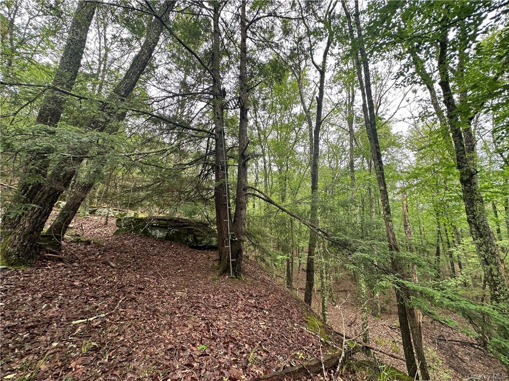 Land State Route 55  Sullivan, NY 12719, MLS-H6256862-33