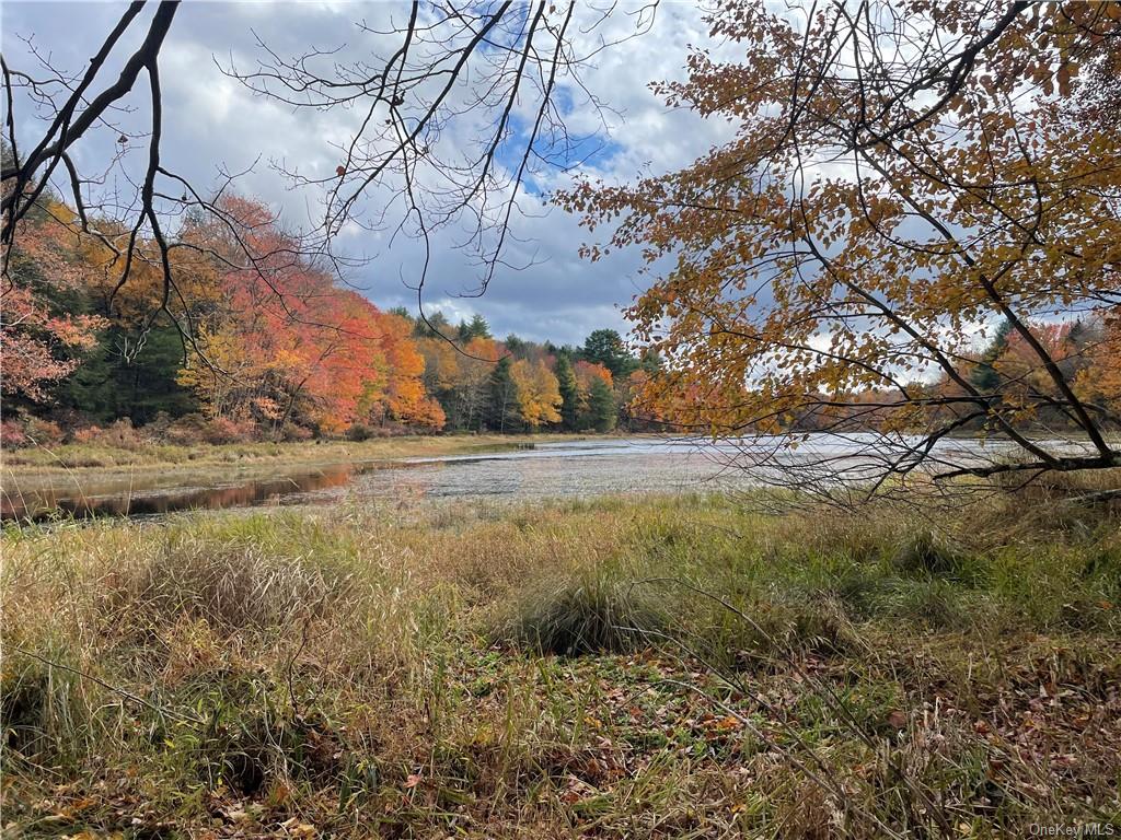 Land Cty Hwy 141 - Horseshoe Lake Rd Lots 10.7 & 10.9  Sullivan, NY 12720, MLS-H6240873-33