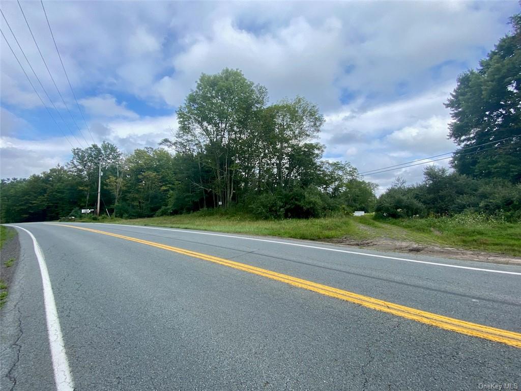 Land Moscoe  Sullivan, NY 12720, MLS-H6241893-33