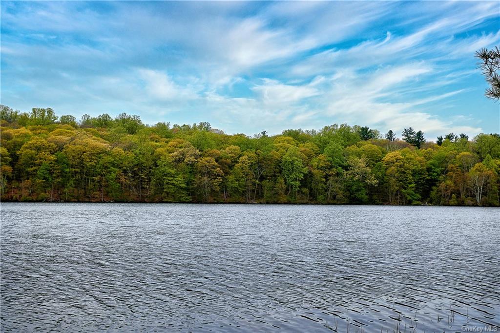 Land Pierson Lakes  Rockland, NY 10974, MLS-H6246069-34