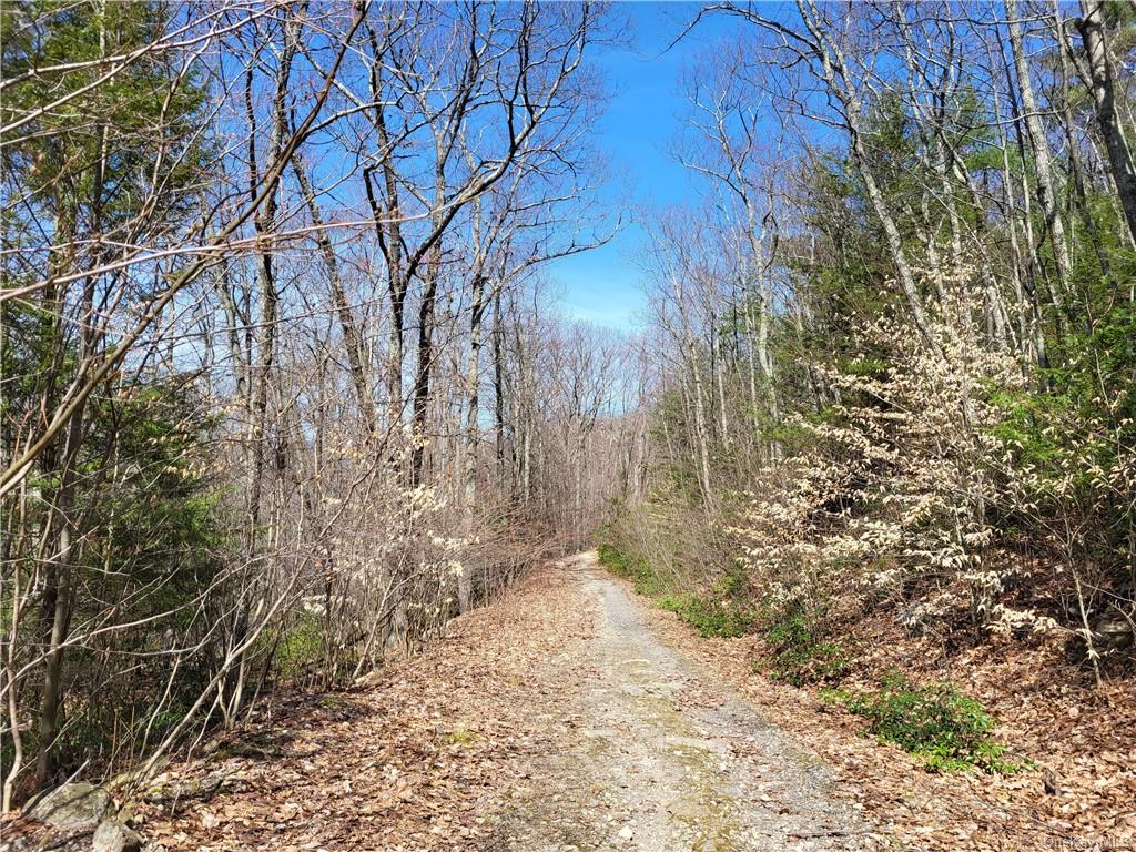 Land Old Plank  Ulster, NY 12420, MLS-H6180707-34