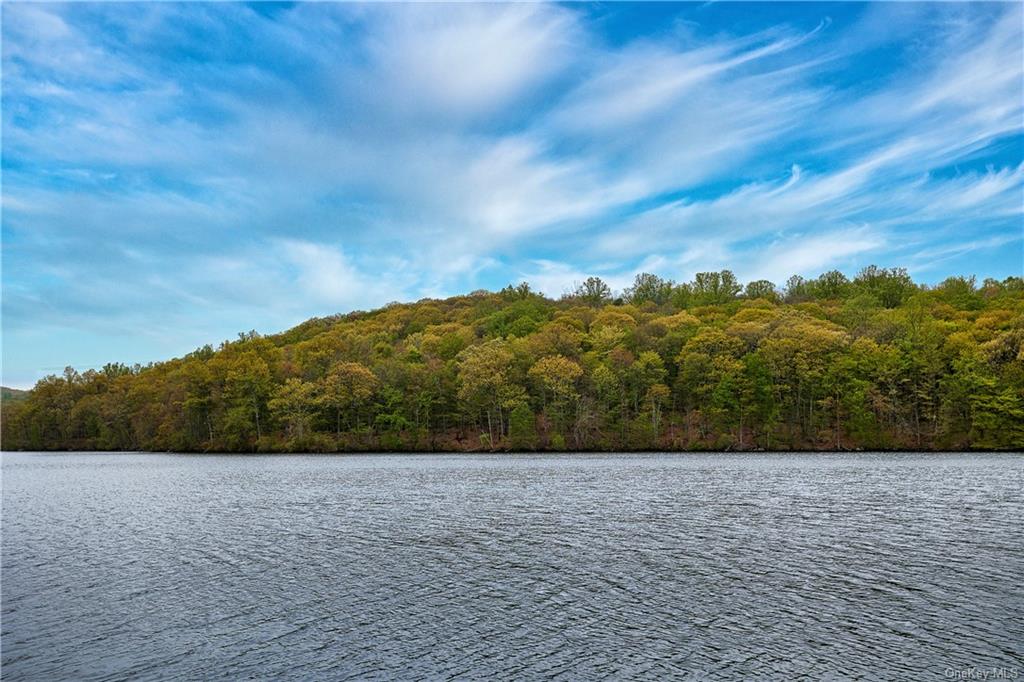 Land Pierson Lakes  Rockland, NY 10974, MLS-H6246069-35