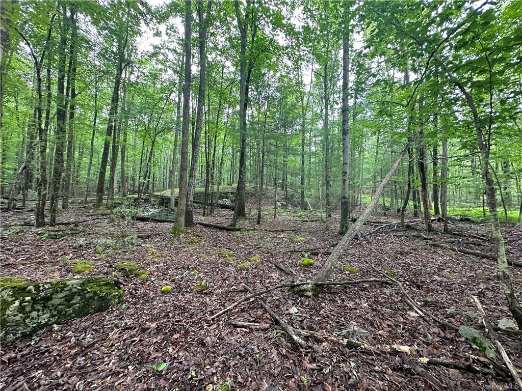 Land State Route 55  Sullivan, NY 12719, MLS-H6256862-35