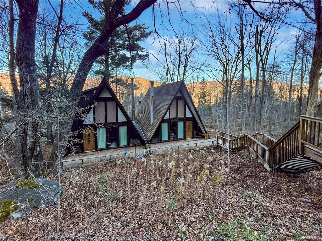 Two Family Pine  Greene, NY 12482, MLS-H6278893-35