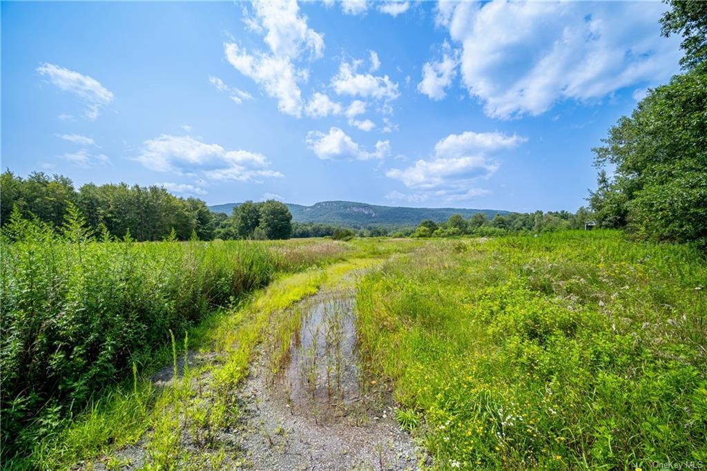 Land Springtown  Ulster, NY 12561, MLS-H6266739-36