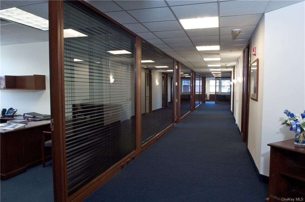 Commercial Lease Overhill  Westchester, NY 10583, MLS-H6162009-4