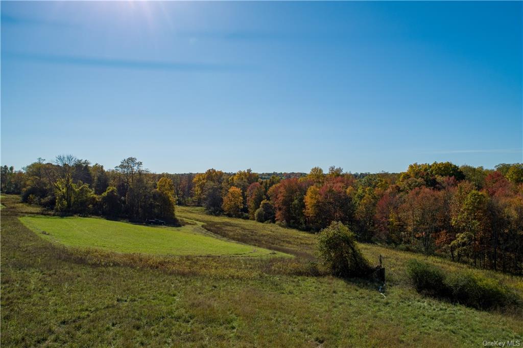 Land Traver  Dutchess, NY 12569, MLS-H6272015-4