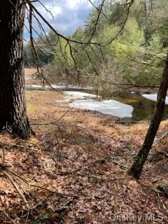 Land Bear Run  Sullivan, NY 12764, MLS-H6168030-4