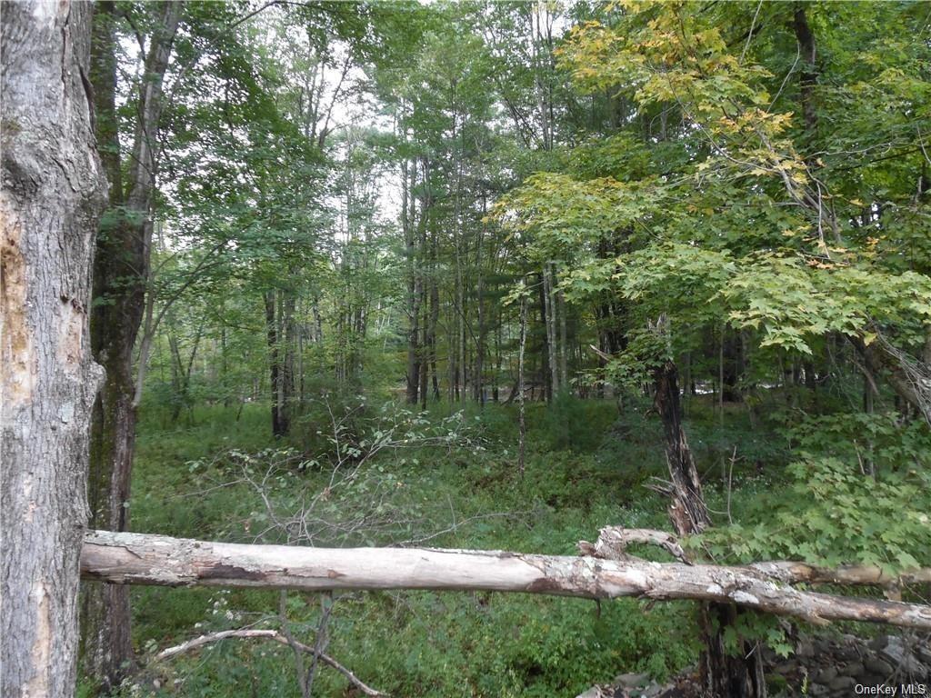 Land Plank  Sullivan, NY 12720, MLS-H6237065-4