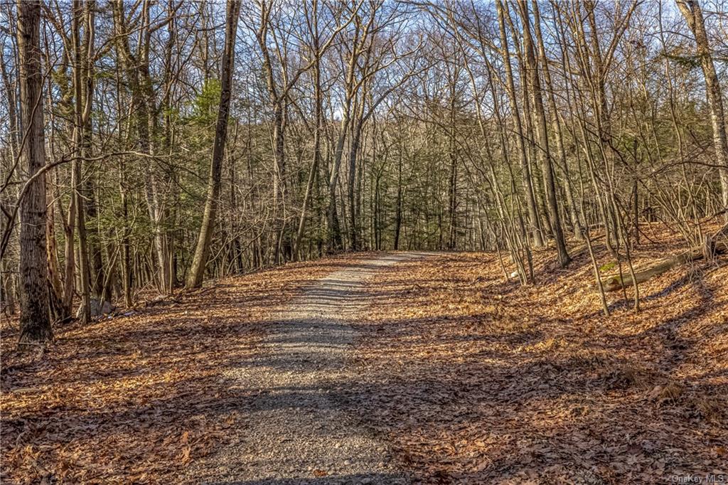 Land Vista Maria/cragsmoor  Ulster, NY 12420, MLS-H6223069-4