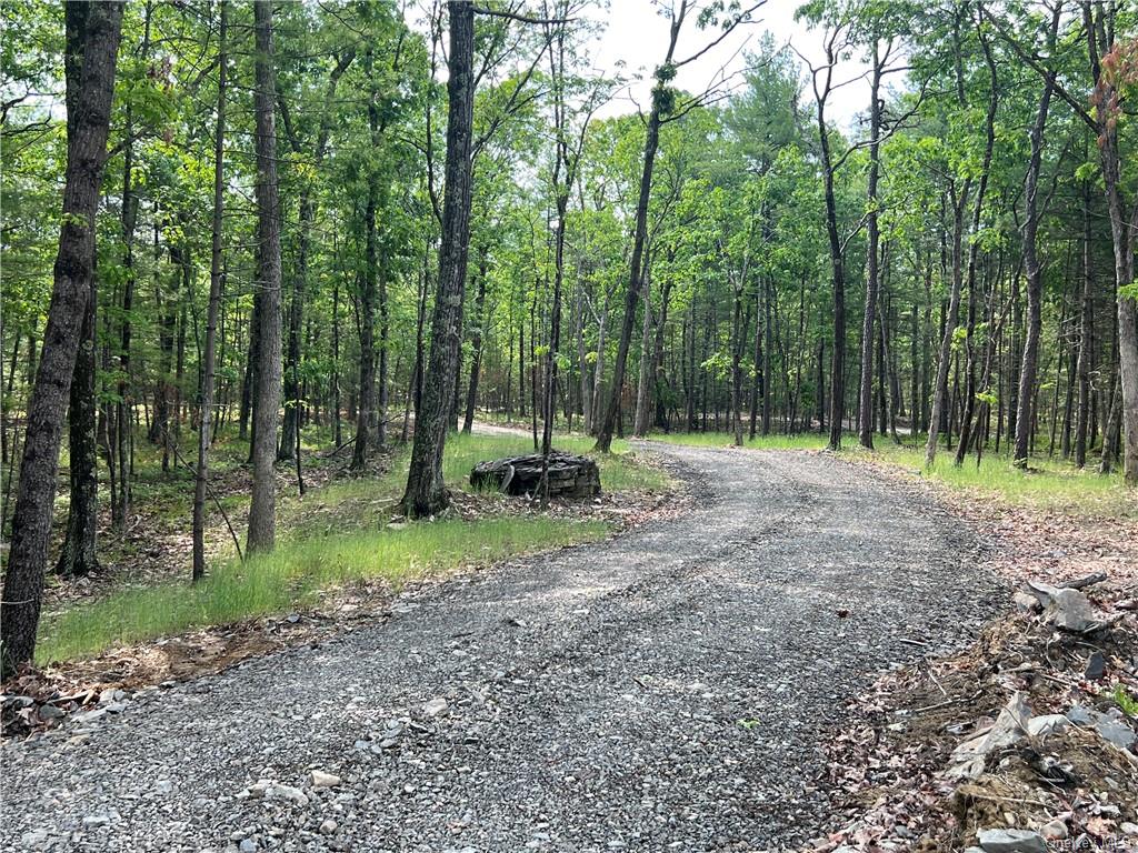 Land Reilly  Ulster, NY 12401, MLS-H6252070-4