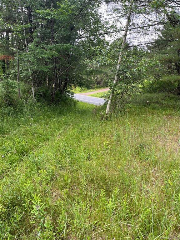 Land State Route 17 B  Sullivan, NY 12720, MLS-H6258084-4