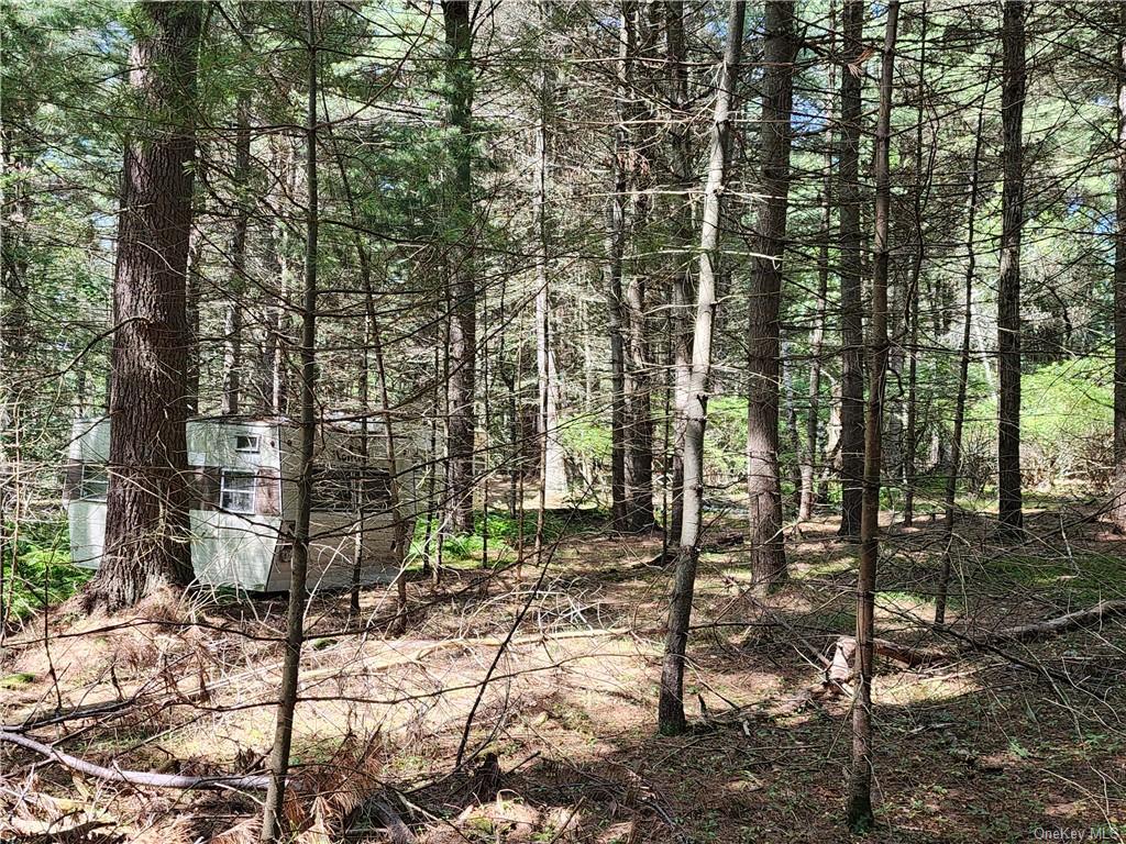 Land Dill  Sullivan, NY 12777, MLS-H6261089-4