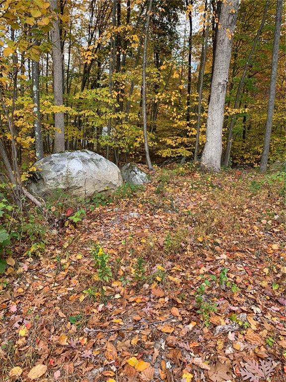 Land South  Dutchess, NY 12531, MLS-H6217102-4