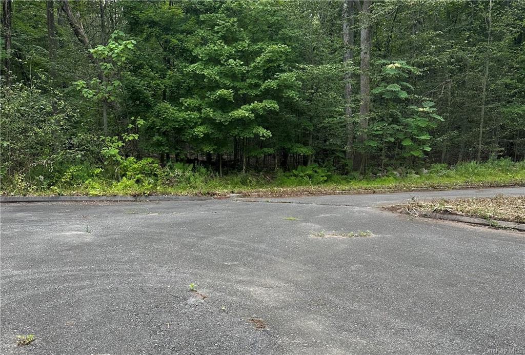 Land Florence  Westchester, NY 10541, MLS-H6264105-4