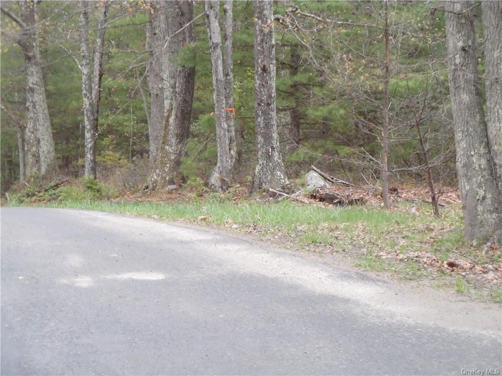 Land Dunn Town  Sullivan, NY 12790, MLS-H6247116-4