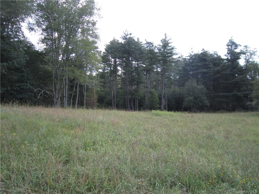 Land St. Rt,  52 & Old Country  Sullivan, NY 12726, MLS-H6262117-4