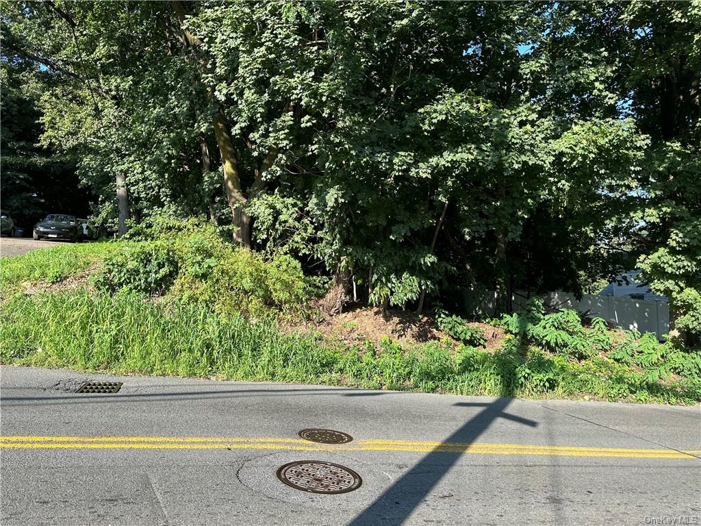 Land Dickinson  Westchester, NY 10703, MLS-H6264120-4