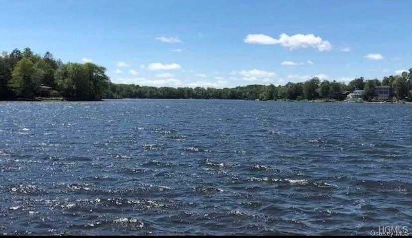 Land Lake Shore  Sullivan, NY 12775, MLS-H6222134-4