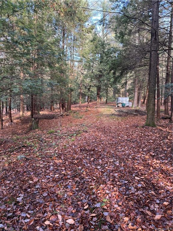 Land Tbd Clark Road Tr 21  Sullivan, NY 12733, MLS-H6280144-4