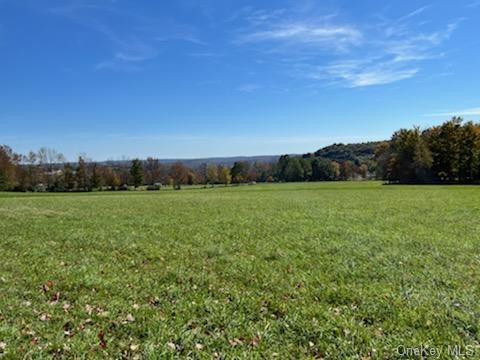 Land 01 Bauernfeind  Sullivan, NY 12723, MLS-H6213146-4