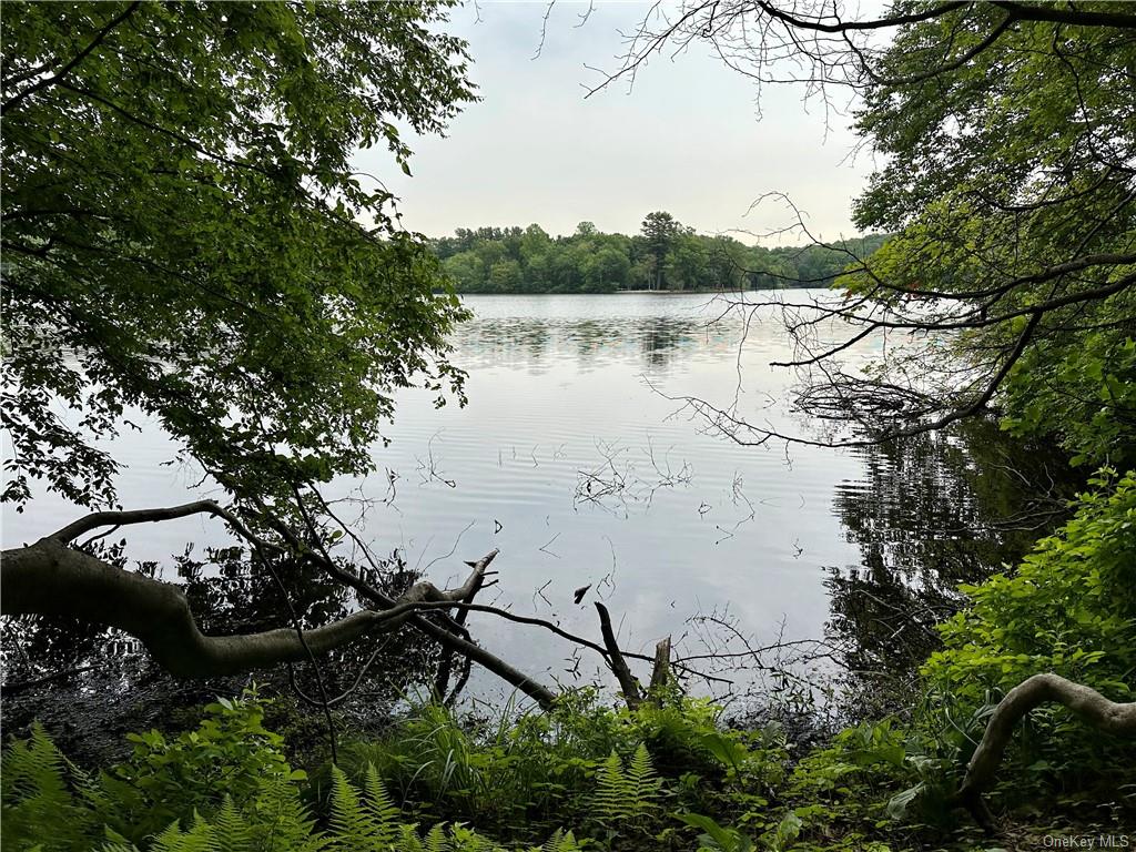 Land Pierson Lakes  Rockland, NY 10974, MLS-H6255156-4