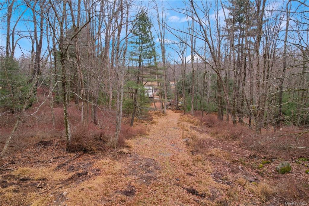 Land Lena  Sullivan, NY 12777, MLS-H6280157-4