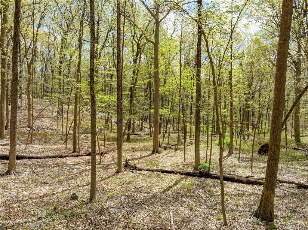Land Creemer  Westchester, NY 10504, MLS-H6251162-4