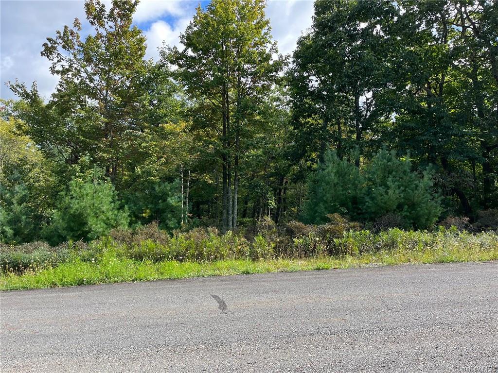 Land Pine Lake  Sullivan, NY 12790, MLS-H6269173-4