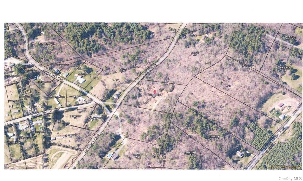 Land Hasbrouck Road Tr 96  Sullivan, NY 12733, MLS-H6278185-4