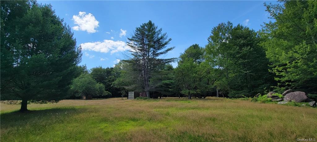 Land Westervelt  Sullivan, NY 12726, MLS-H6264186-4