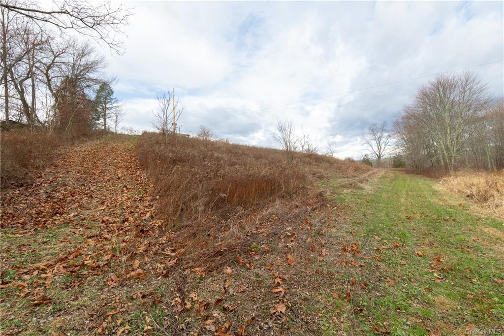 Land Cream  Dutchess, NY 12601, MLS-H6256190-4