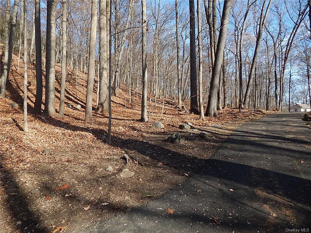 Land Mountain  Rockland, NY 10956, MLS-H6279191-4