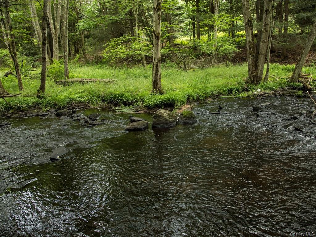 Land Chapin  Sullivan, NY 12720, MLS-H6204195-4