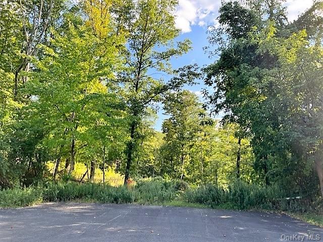 Land Deerwood  Dutchess, NY 12533, MLS-H6212196-4