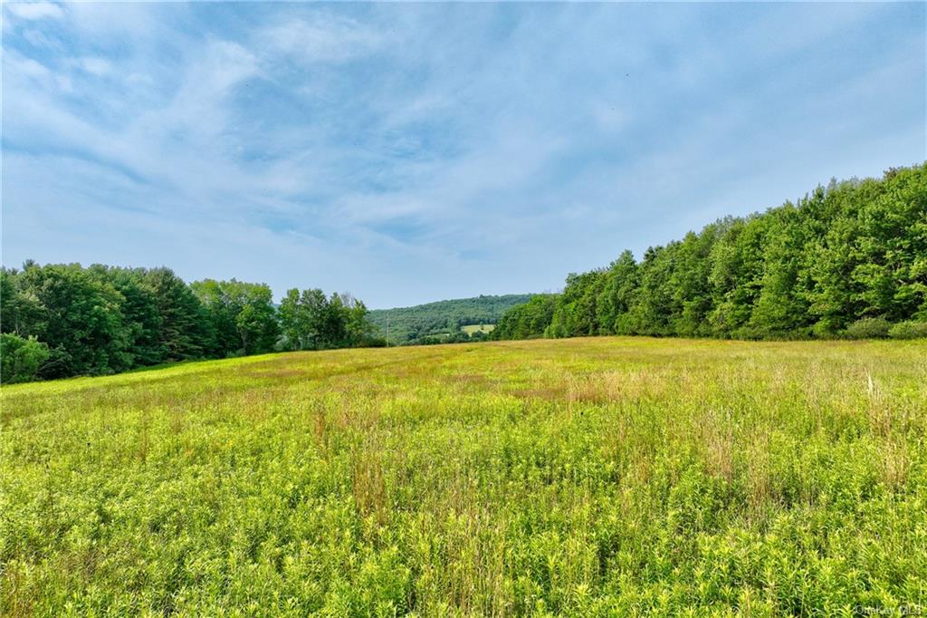 Land Rolling Meadows  Sullivan, NY 12787, MLS-H6261215-4