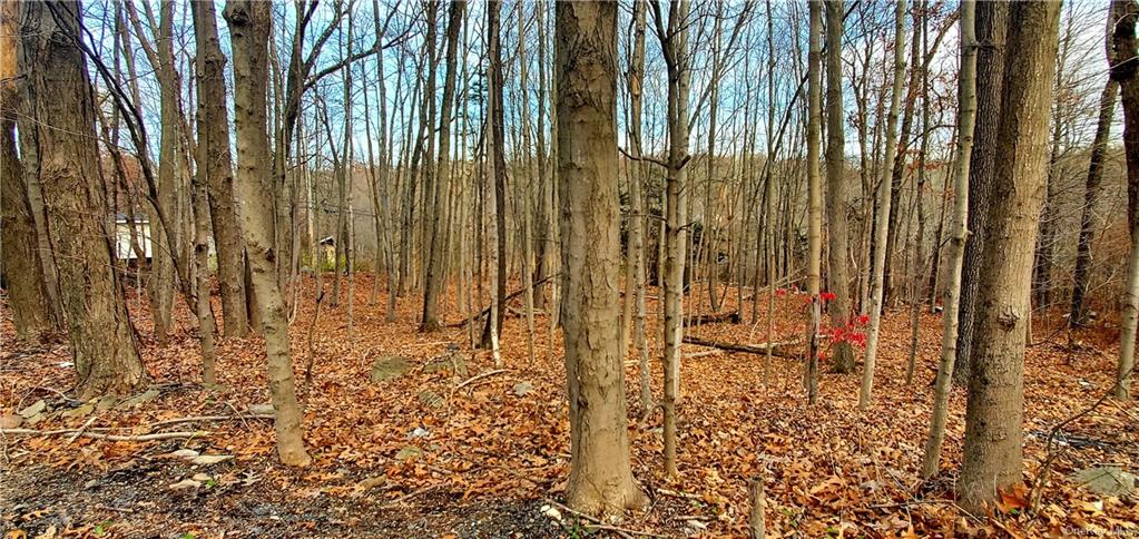 Land Huckleberry  Ulster, NY 12589, MLS-H6158218-4