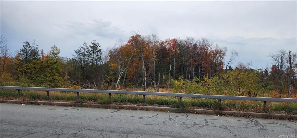 Land State Route 42  Sullivan, NY 12701, MLS-H6228231-4