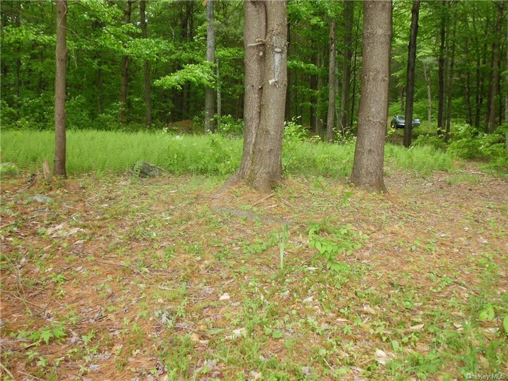 Land Lot 13 Woodstone  Sullivan, NY 12720, MLS-H6188237-4