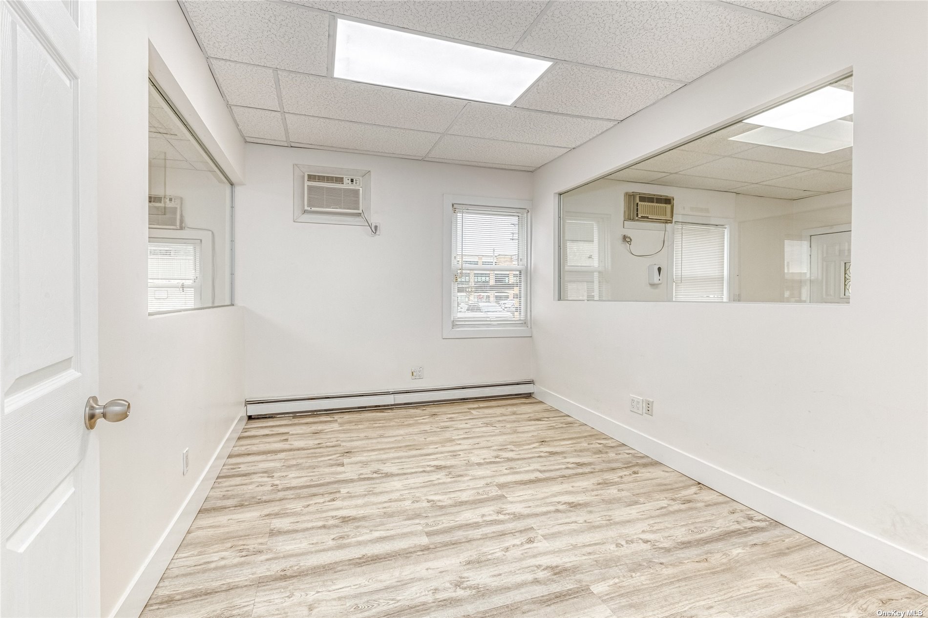 Commercial Lease Carl  Nassau, NY 11801, MLS-3478255-4