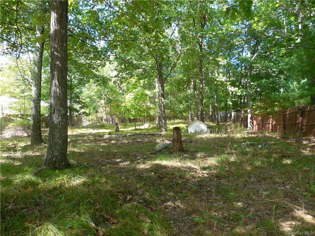 Land Shawanga Lodge  Sullivan, NY 12721, MLS-H6215260-4